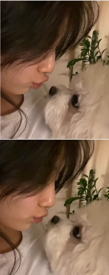 /사진=수지 인스타그램