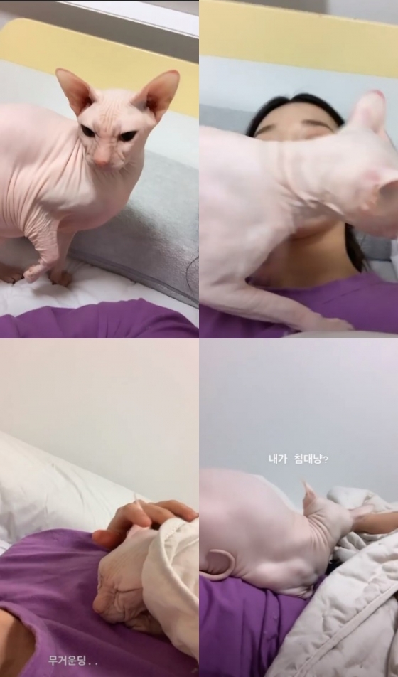 /사진=김선아 인스타그램