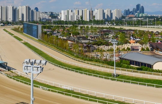 과천에 위치한 한국마사회 서울경마공원의 텅빈 주로 /사진제공=한국마사회