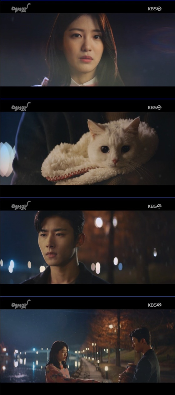 /사진=KBS 2TV '어서와' 방송화면 캡처