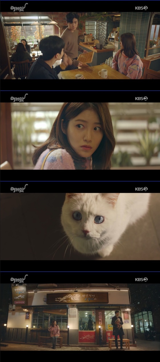 /사진=KBS 2TV '어서와' 방송화면 캡처
