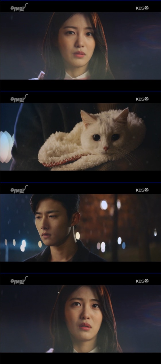 /사진=KBS 2TV '어서와' 방송화면 캡처