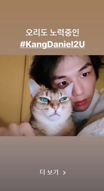 /사진=강다니엘 인스타그램 스토리 캡처