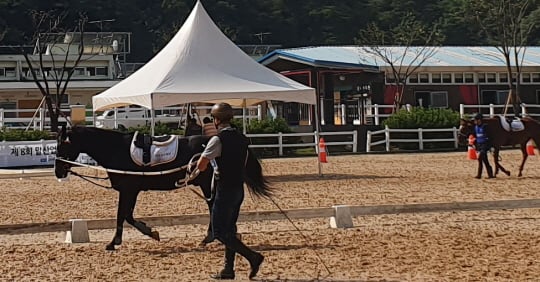 /사진제공=한국마사회