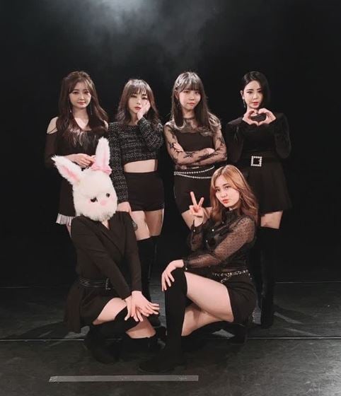 /사진=핑크판타지 공식 인스타그램
