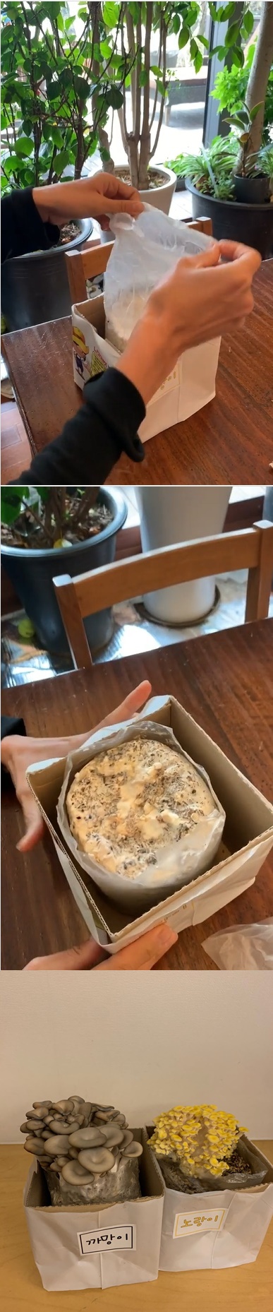 /사진=전미라 인스타그램 캡처