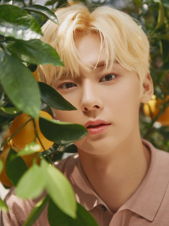 뉴이스트 민현 /사진제공=플레디스