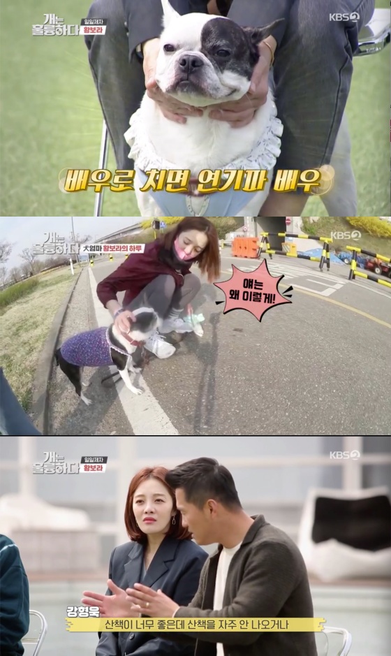 /사진=KBS 2TV 예능 프로그램 '개는 훌륭하다' 방송화면 캡쳐
