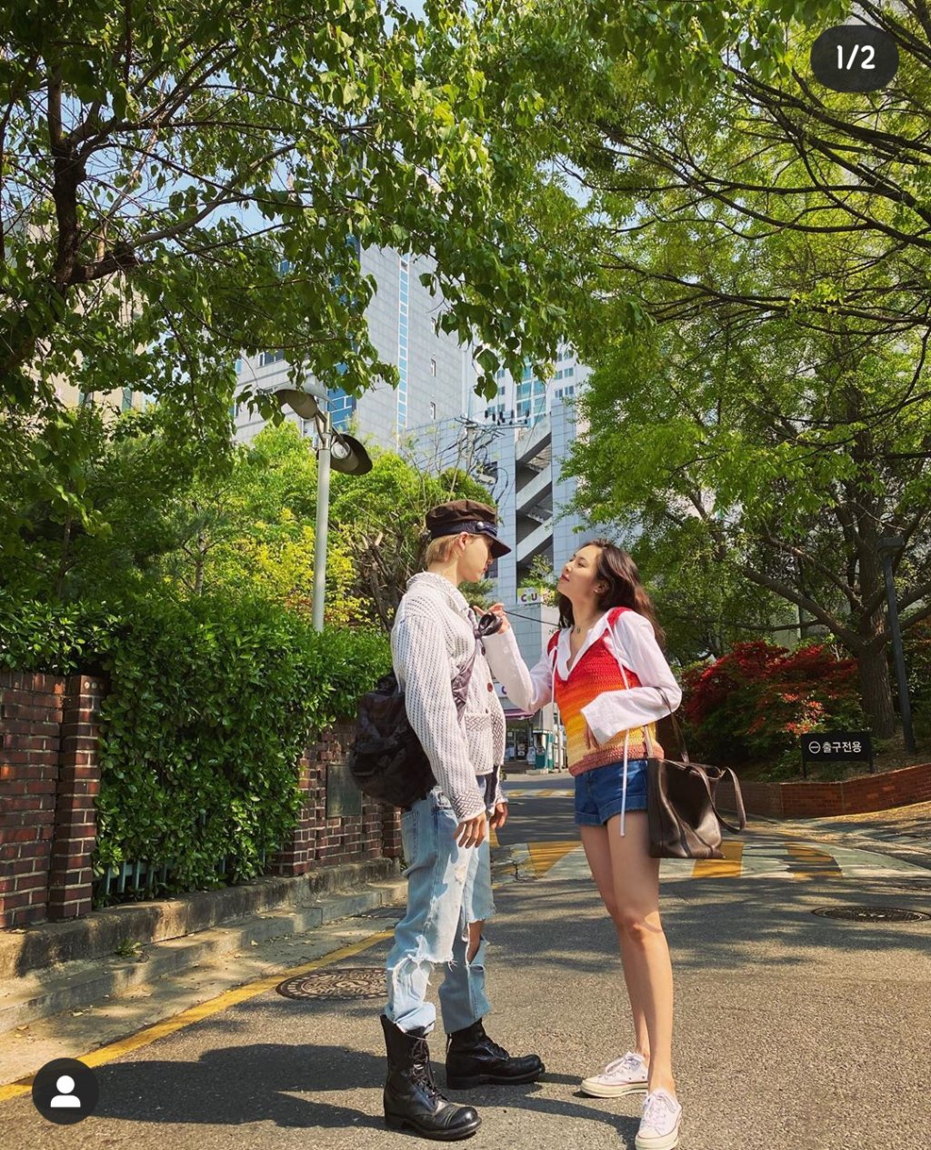 사진