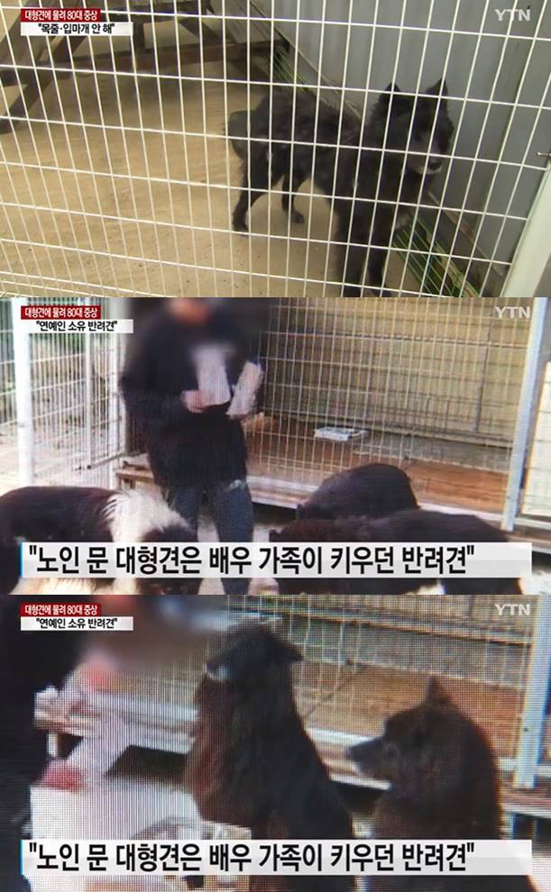 /사진=YTN 방송화면 캡처