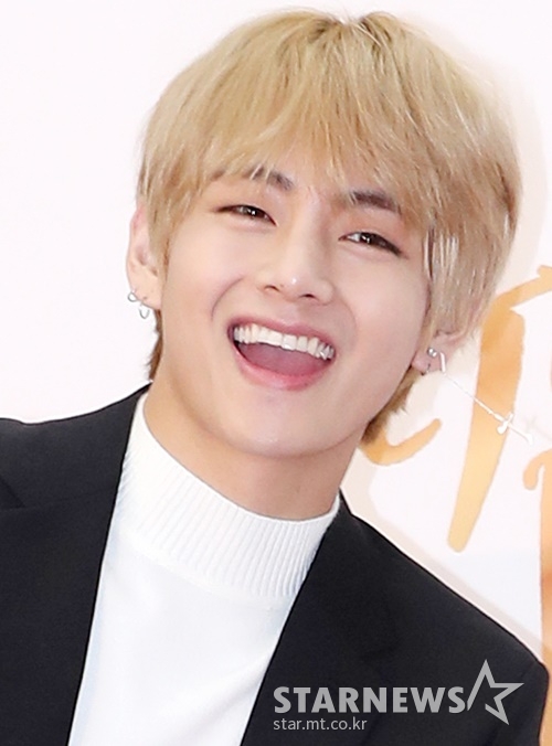 방탄소년단(BTS) 뷔 /사진=스타뉴스