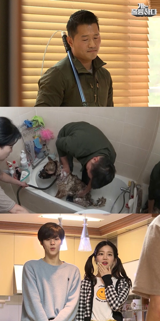 /사진='개는 훌륭하다'