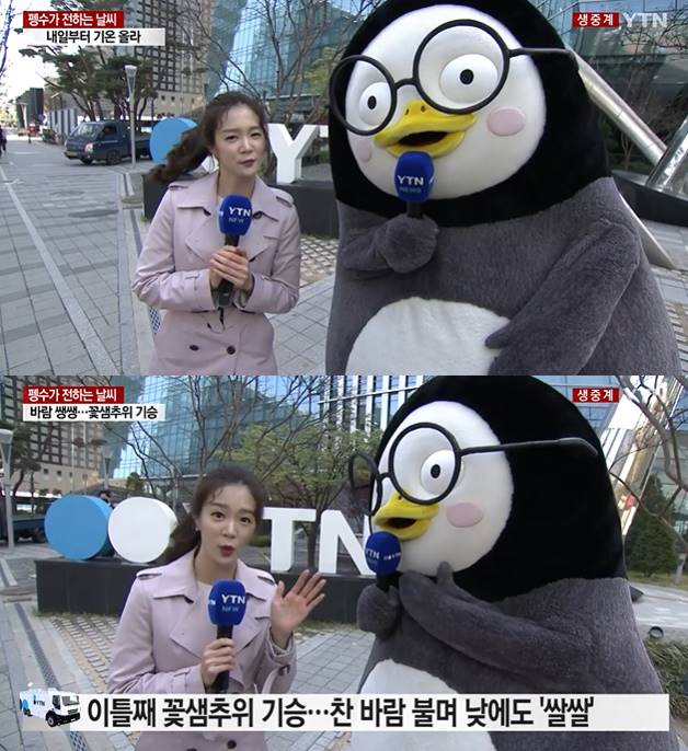 /사진=YTN 방송 캡처