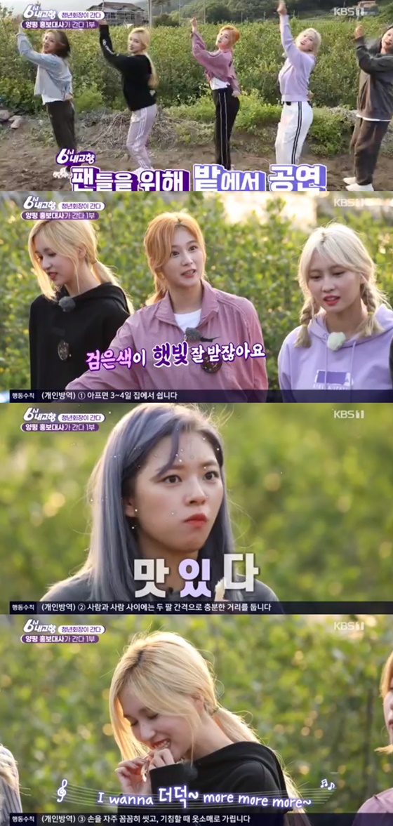 트와이스 /사진=KBS 1TV '6시 내고향' 방송화면 캡처