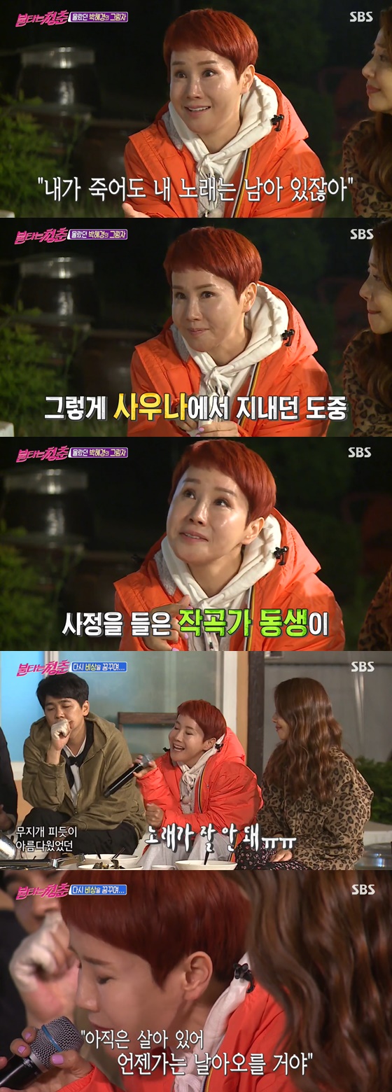 /사진= SBS 예능 '불타는 청춘' 방송 화면