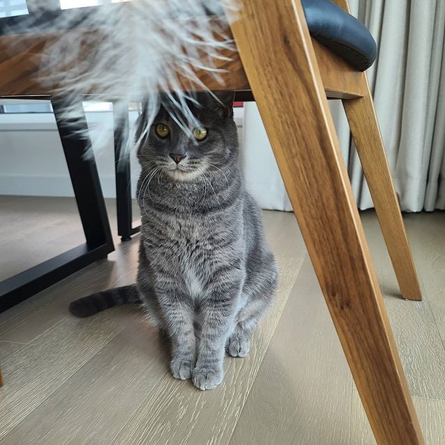 /사진=써니 인스타그램