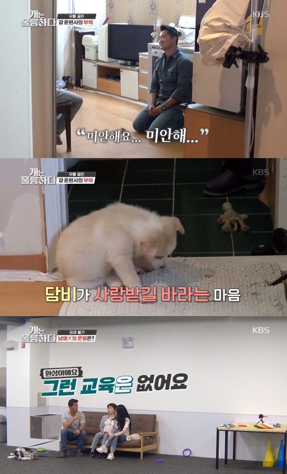 /사진=KBS 2TV '개는 훌륭하다' 방송화면 캡처