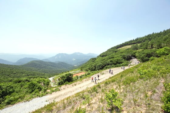 /사진제공=하이원