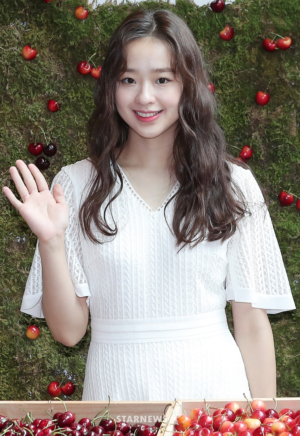 사진