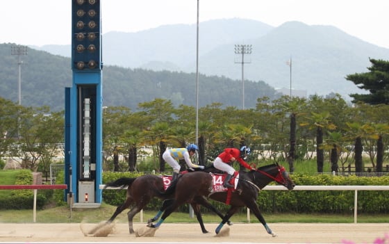 /사진제공=한국마사회