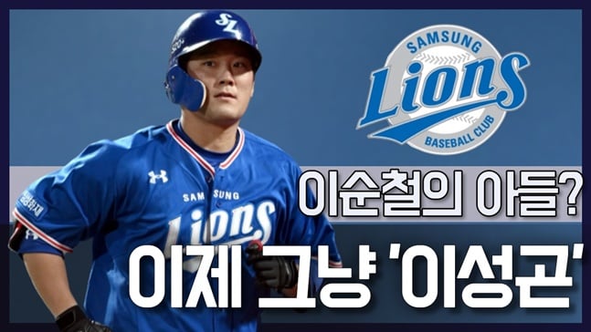 /그래픽=김혜림 기자