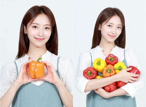 /사진제공=한국파프리카생산자자조회