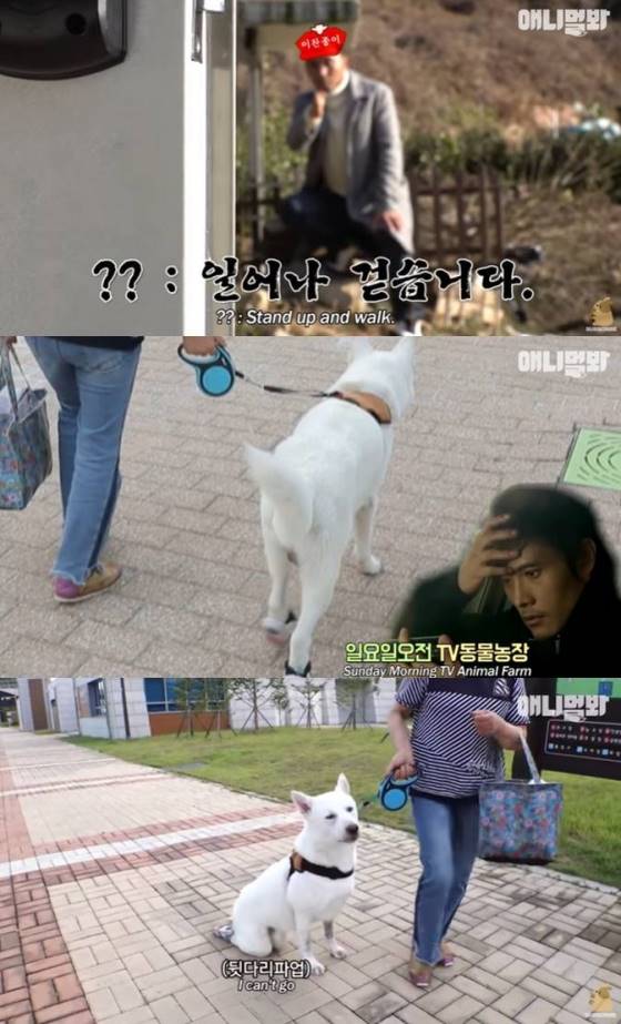 /사진=SBS