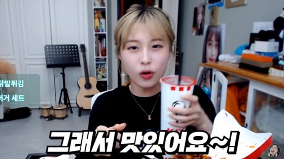 /사진=양팡 유튜브 채널