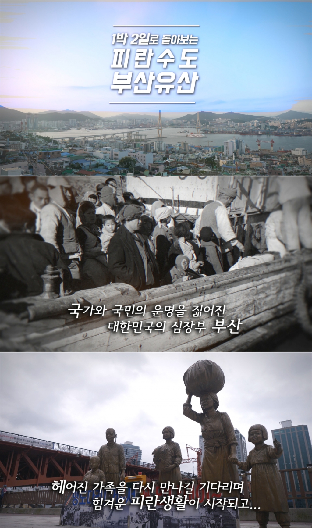 /사진=서경덕 교수 연구팀