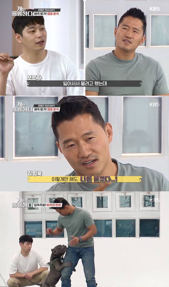 /사진=KBS 2TV '개는 훌륭하다' 방송화면 캡처
