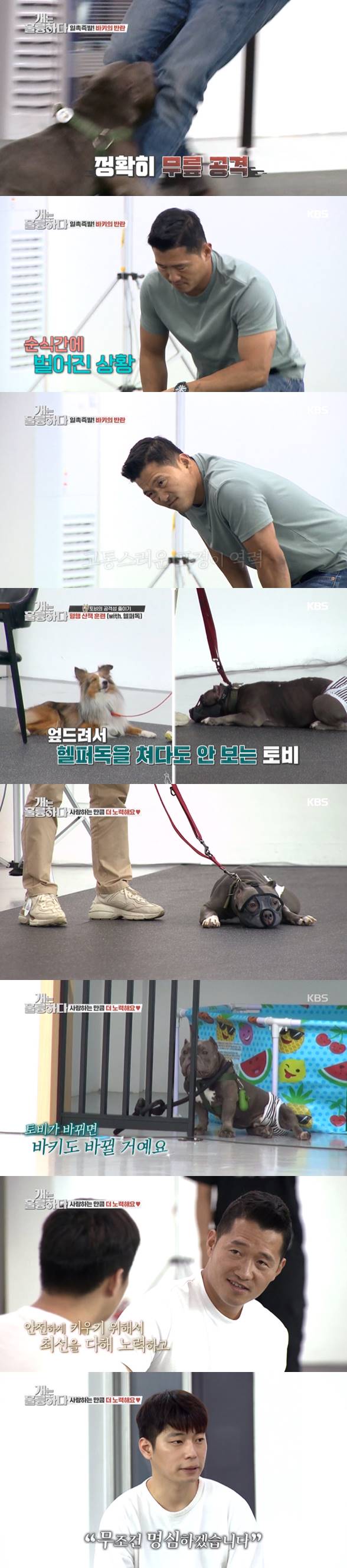 /사진=KBS 2TV '개는 훌륭하다' 방송화면 캡처