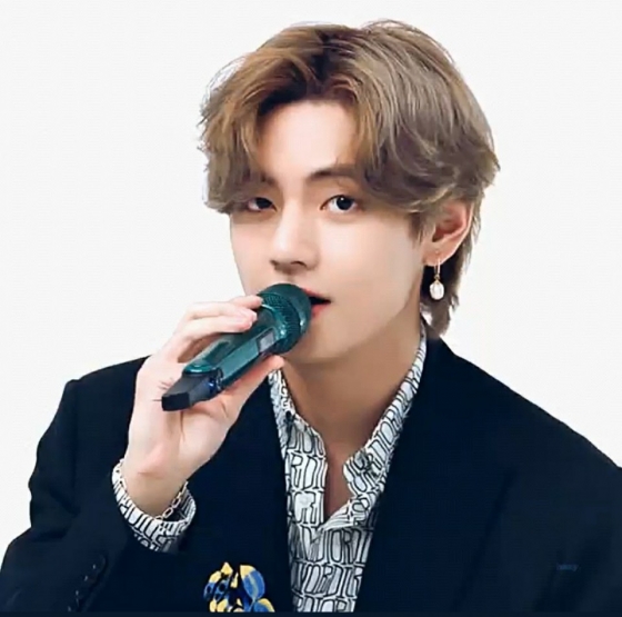 방탄소년단 뷔(BTS V)