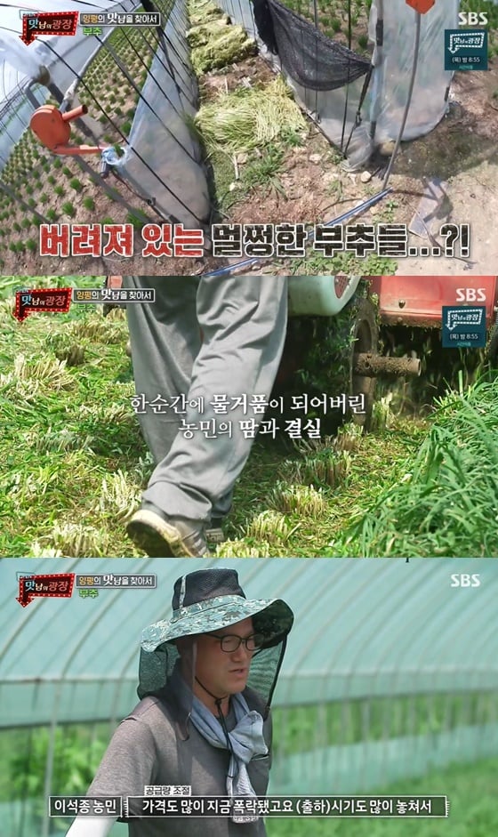 /사진= SBS 예능 '맛남의 광장' 방송 화면