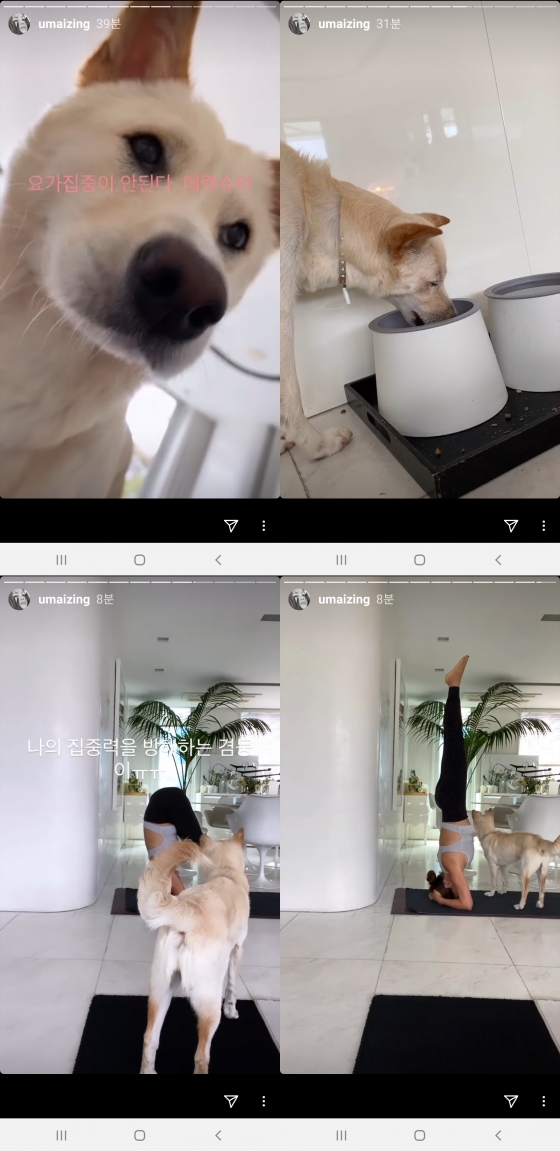 /사진=엄정화 인스타그램 캡처
