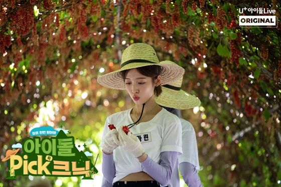 사진