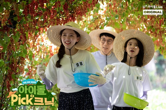 사진