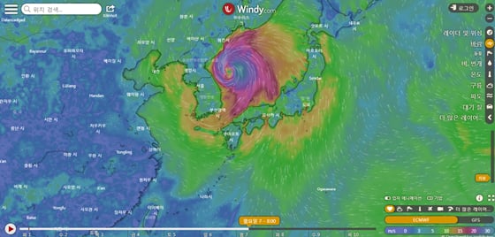 윈디가 예측한 10호 태풍 '하이선' 예상 경로/사진=윈디
