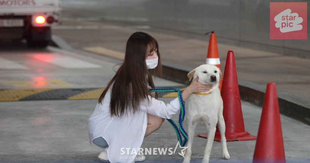 사진