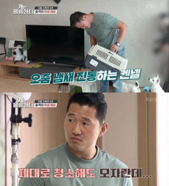 /사진=KBS 2TV '개는 훌륭하다' 방송화면 캡처