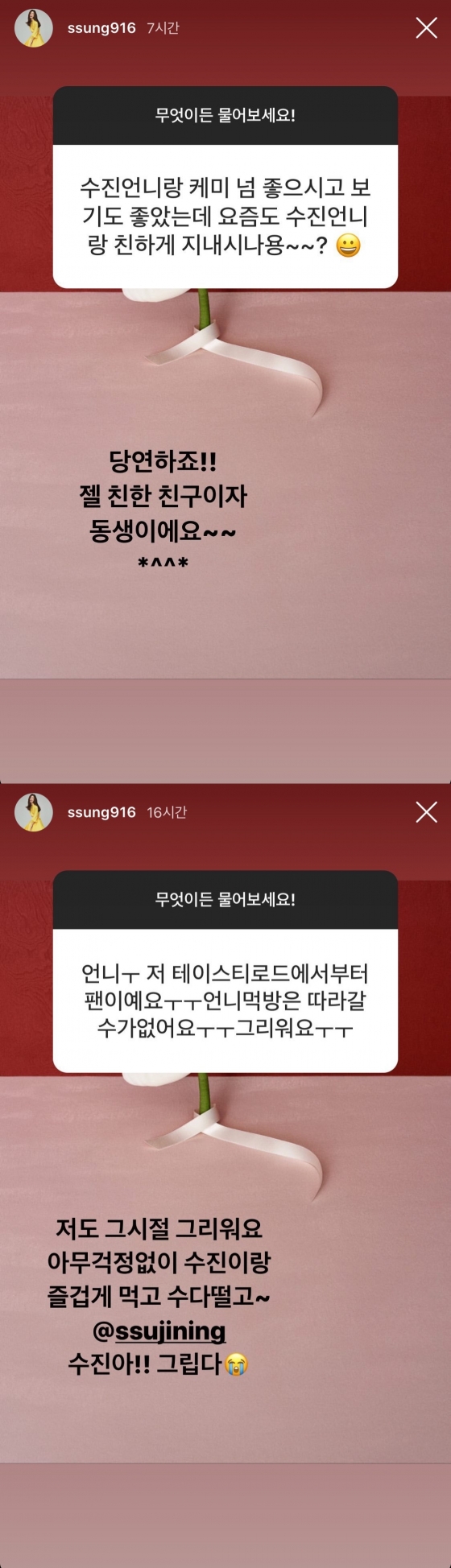 /사진=김성은 인스타그램