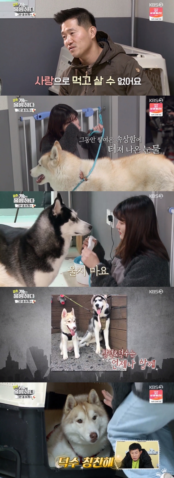 /사진=KBS 2TV '개는 훌륭하다' 방송 화면 캡처