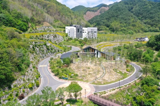 /사진제공=하이원