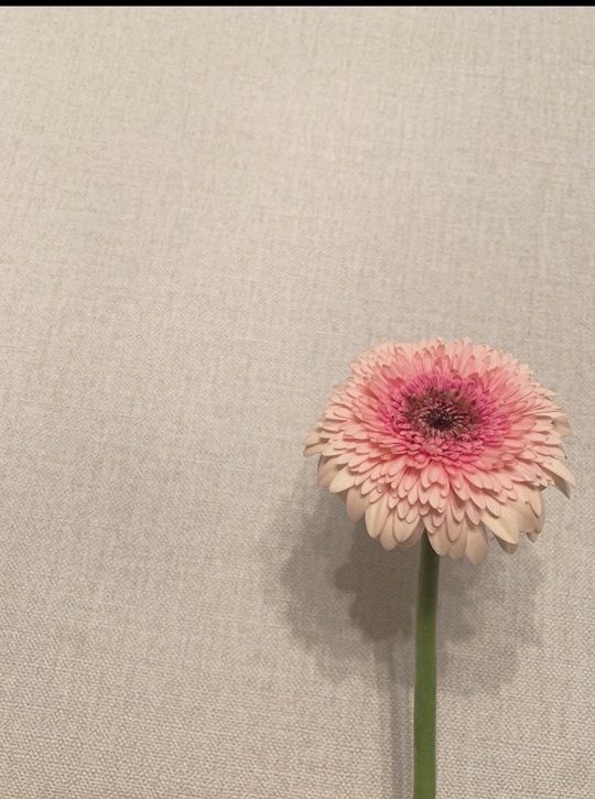 /사진=오인혜 메신저 사진