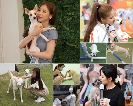 /사진제공=MBC '아이돌 멍멍 선수권대회'