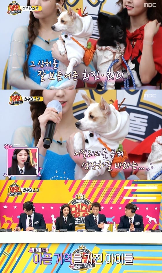 /사진= MBC '2020 추석특집 아이돌 멍멍 선수권대회' 방송 화면