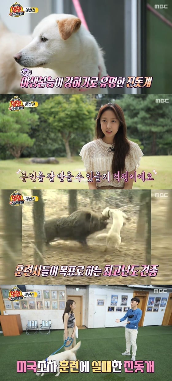 /사진= MBC '2020 추석특집 아이돌 멍멍 선수권대회' 방송 화면