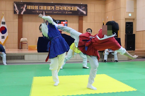 제16회 대통령기 전국택견대회 모습. /사진=대한택견회 제공