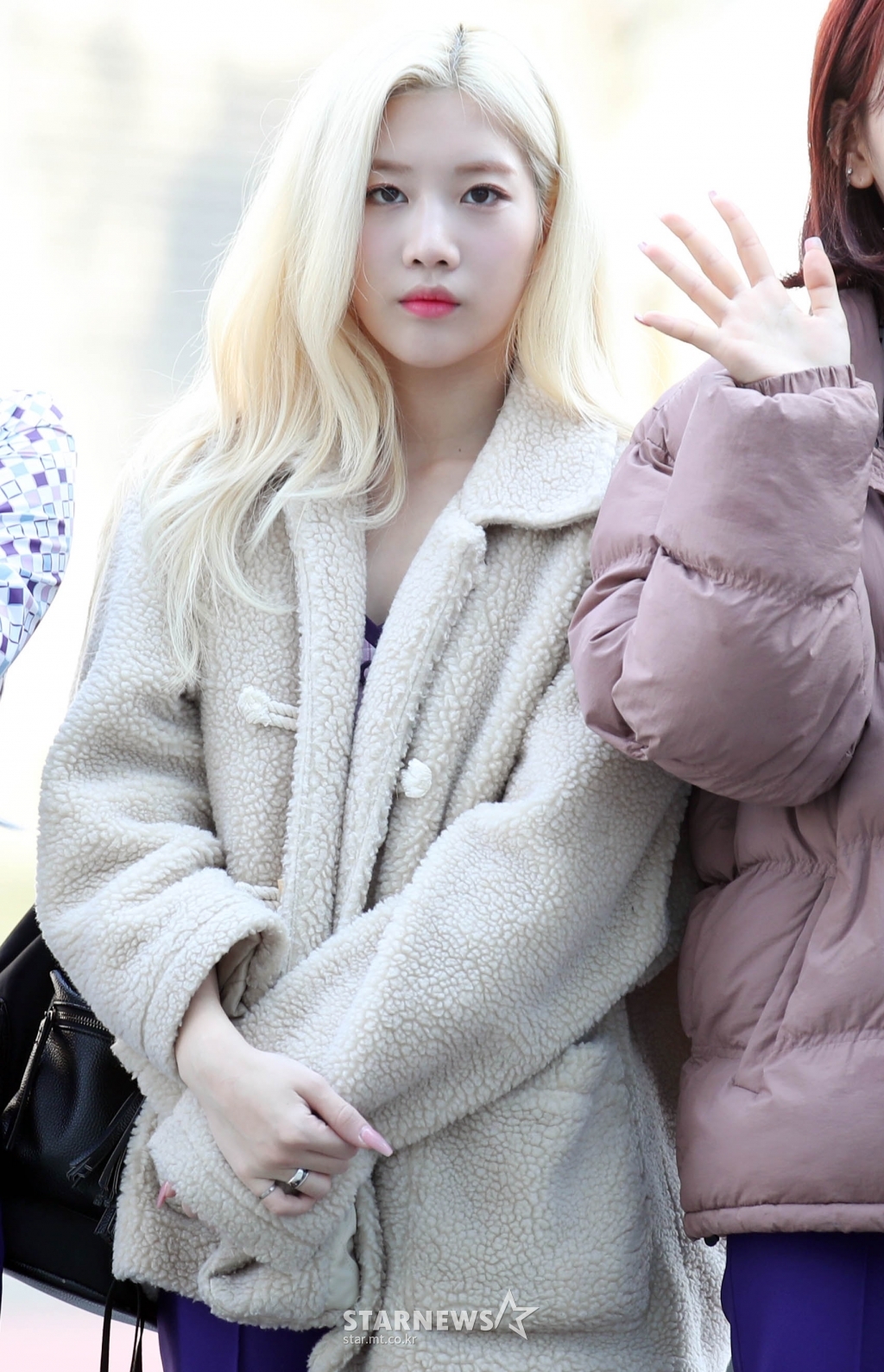 사진