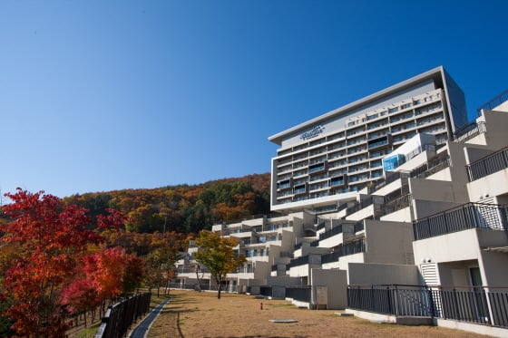 /사진제공=하이원