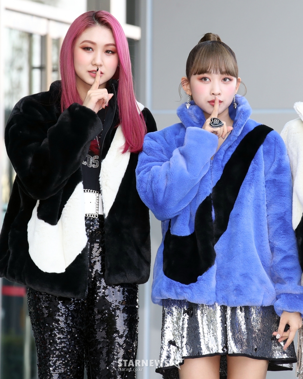 사진